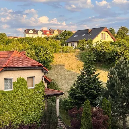 Z Prywatnym Mini Oraz Kominkiem Apartmán Gdyně